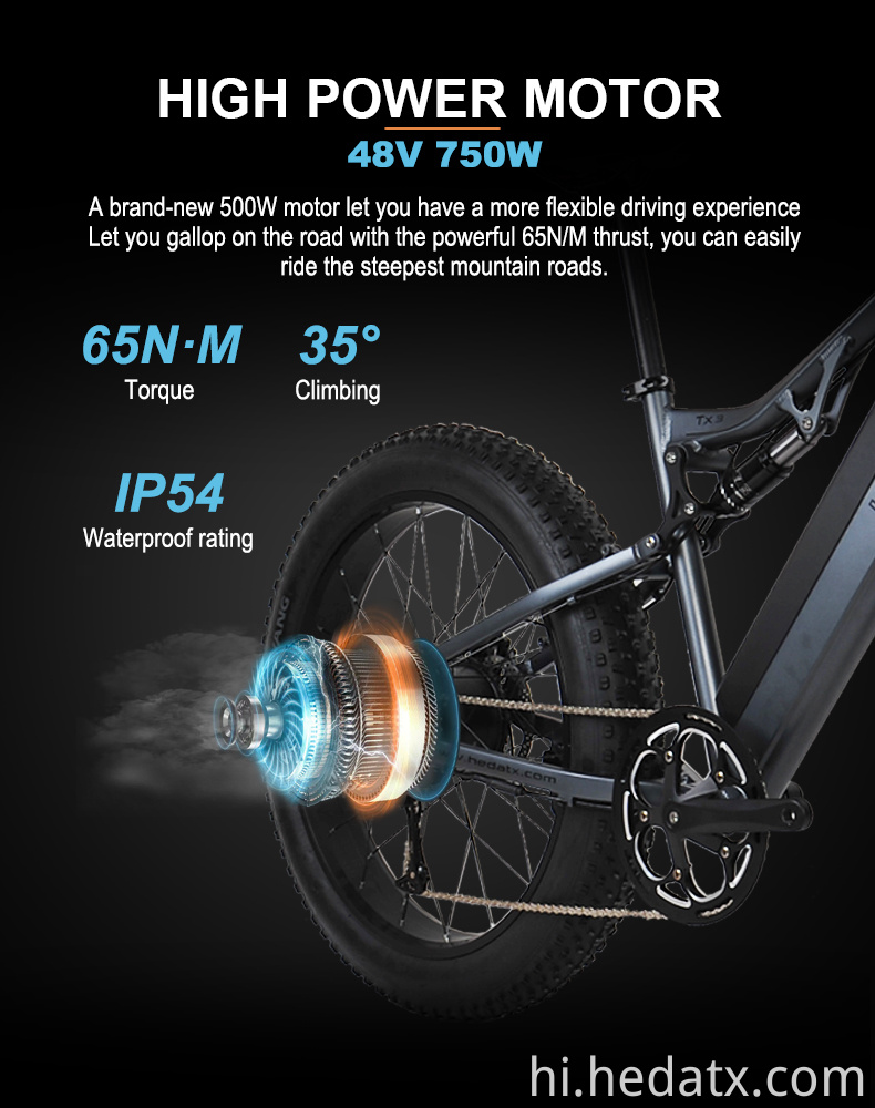 Brushless Motor Electric Fat Tire Bike
